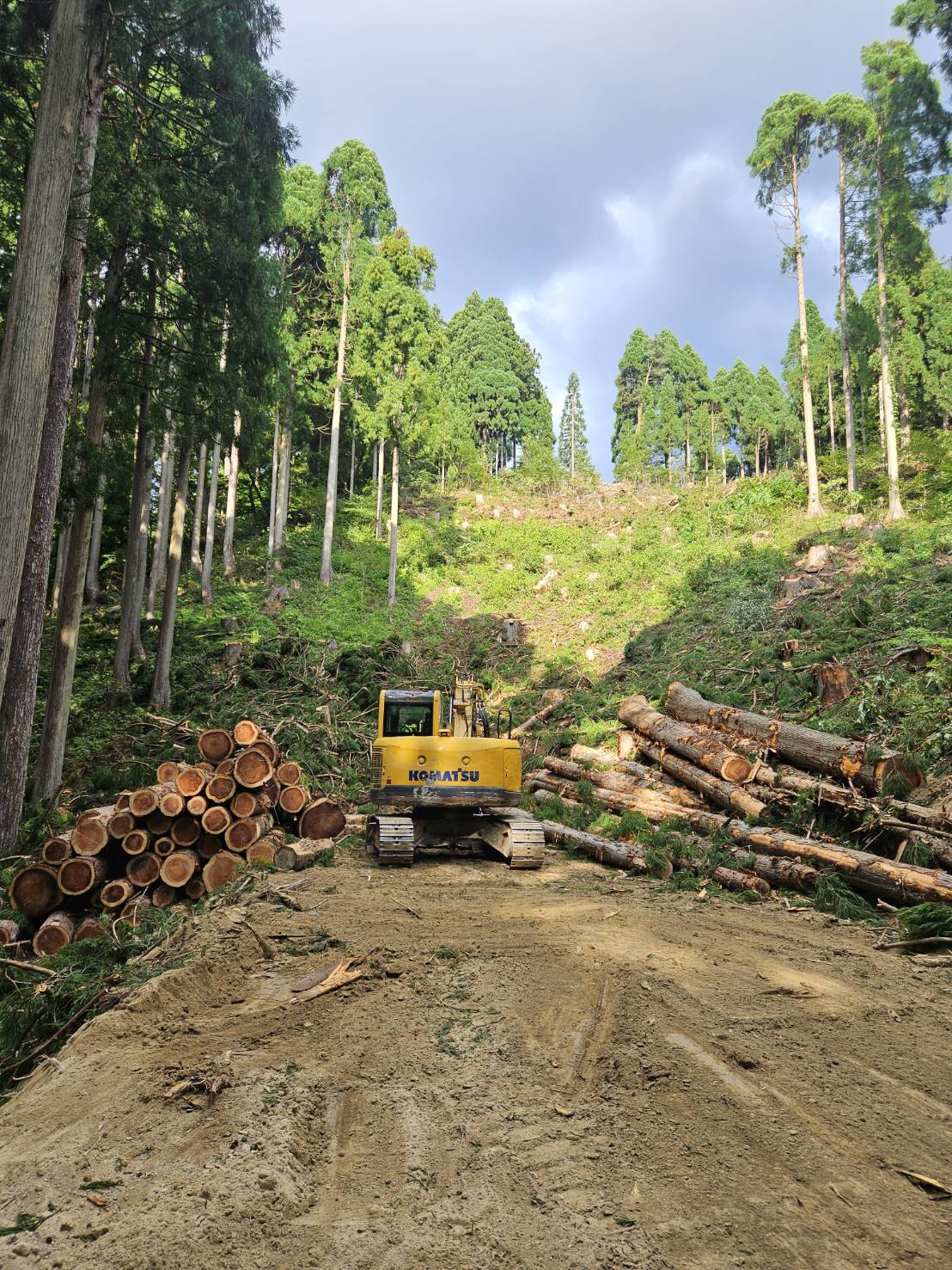 作業道と重機と積んだ丸太